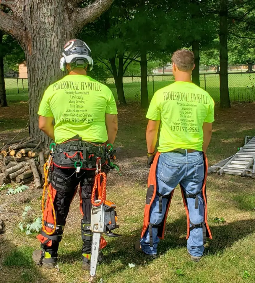 Tree Care Services in Indiana