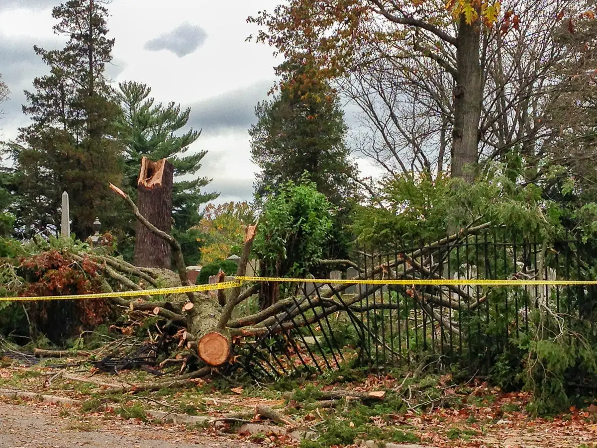 Pro Finish Tree Care truck providing tree services in Indianapolis