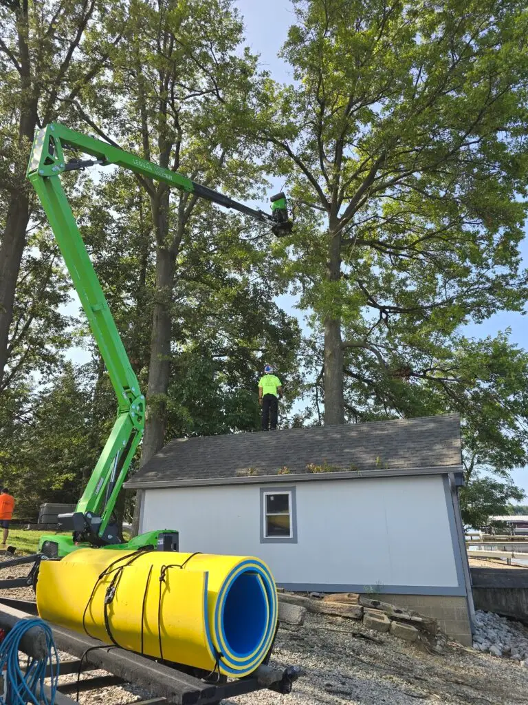 ProFinish Tree Care Crew Member Safely Managing Job Site