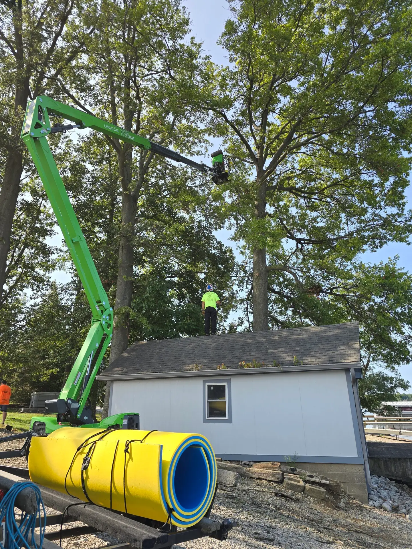 ProFinish Tree Care Crew Member Safely Managing Job Site