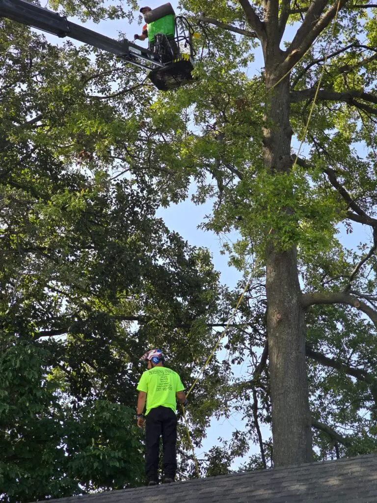 Storm Damage Cleanup Process​