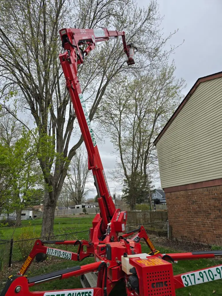 Tree Removal Services