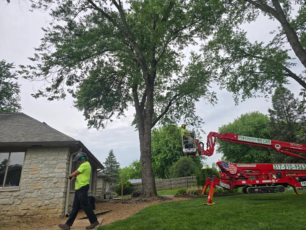 Storm Damage Cleanup Process​