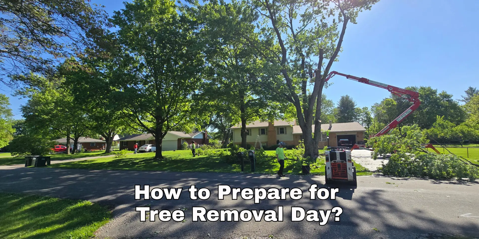 How to Prepare for Tree Removal Day in Fishers and Indianapolis
