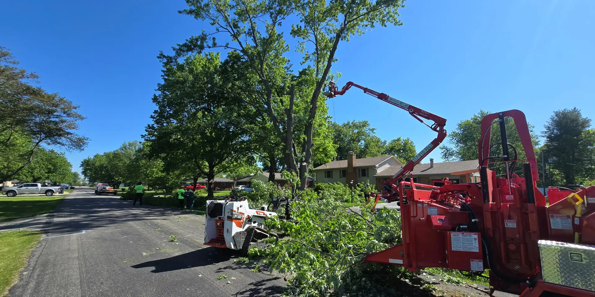 tree trimming service near me