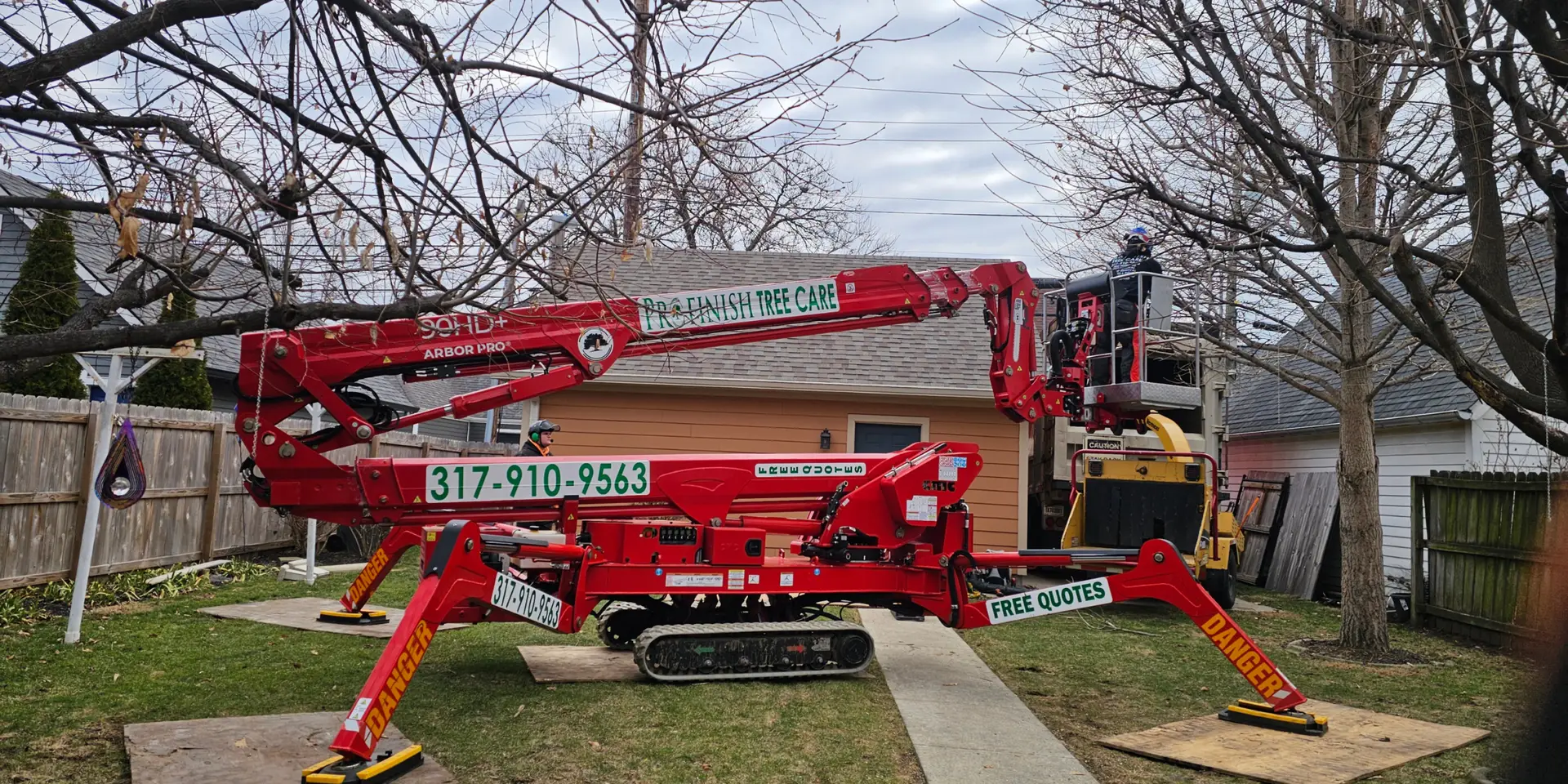 tree removal service