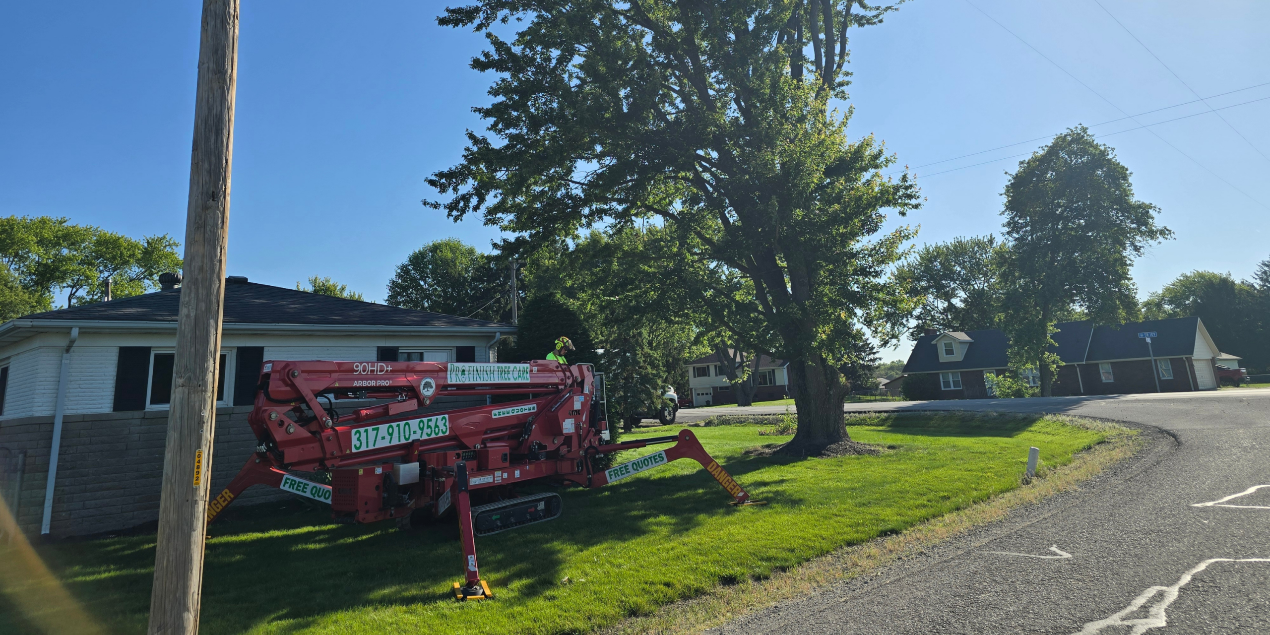 Emergency Tree Removal & Storm Clean up