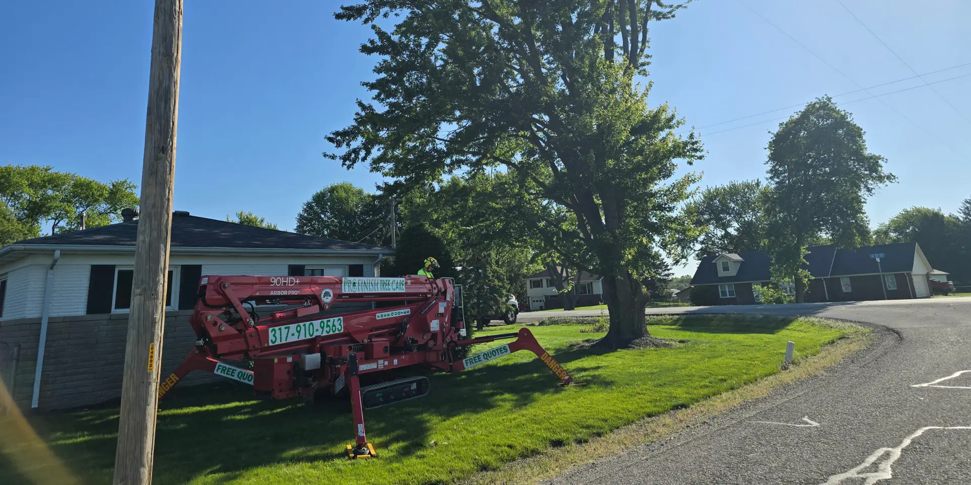 Emergency Tree Removal & Storm Clean up