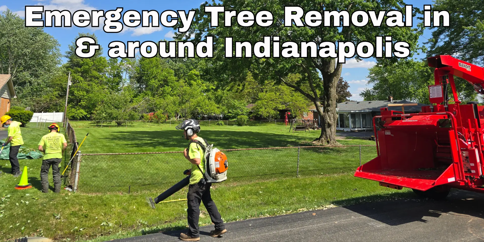 Emergency Tree Removal in & around Indianapolis