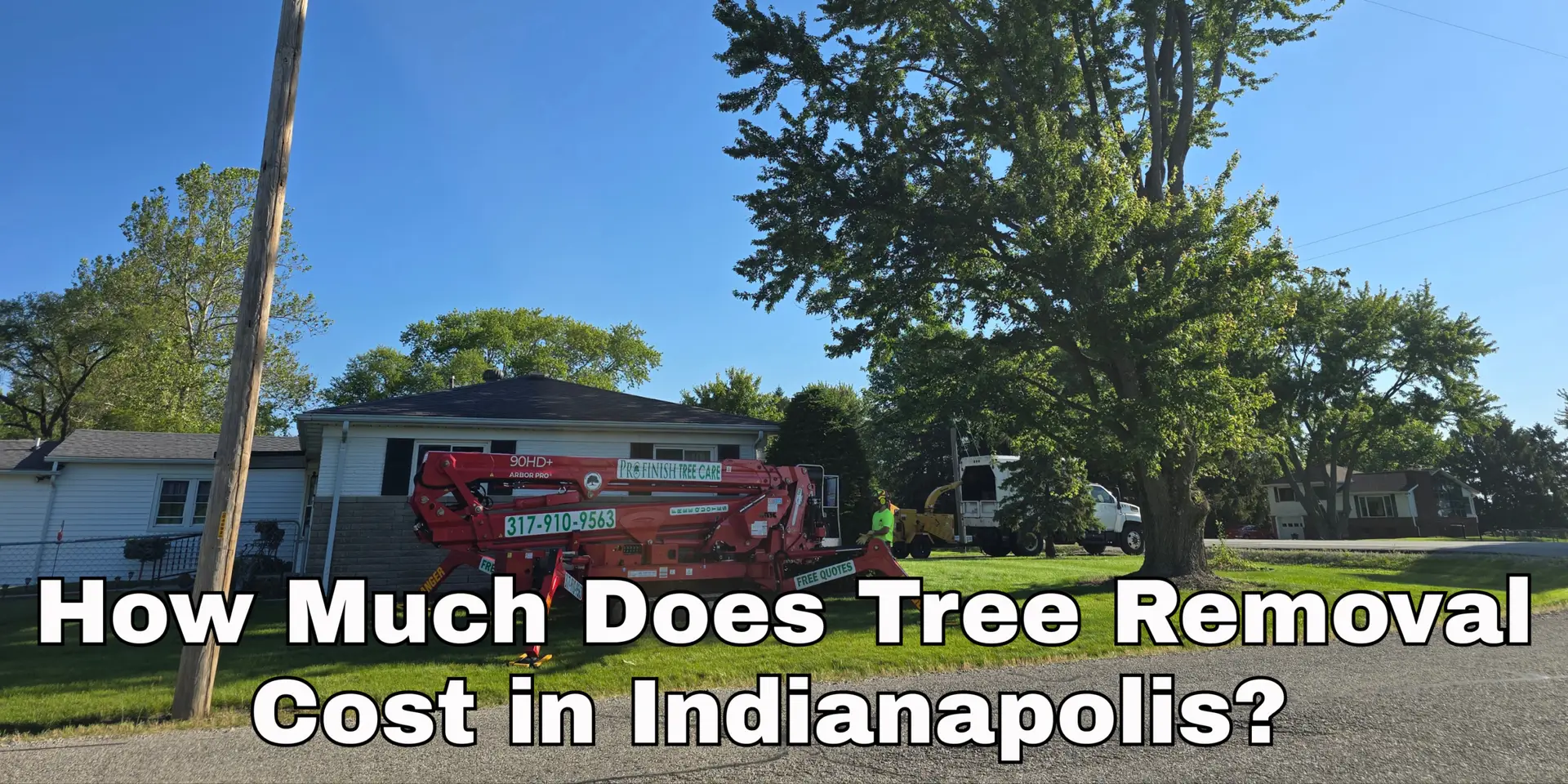 Tree Service Costs in Indiana