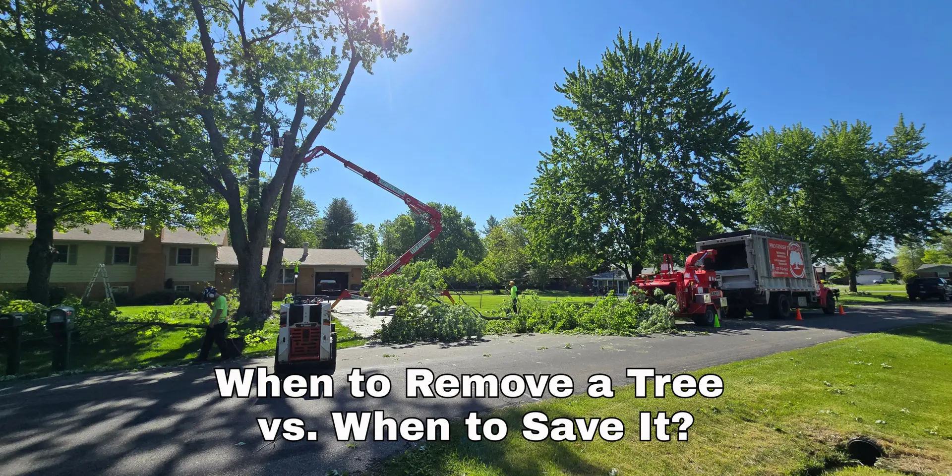 Pro Finish Tree Care When to Remove a Tree vs. When to Save It: A Guide for Indianapolis Homeowners