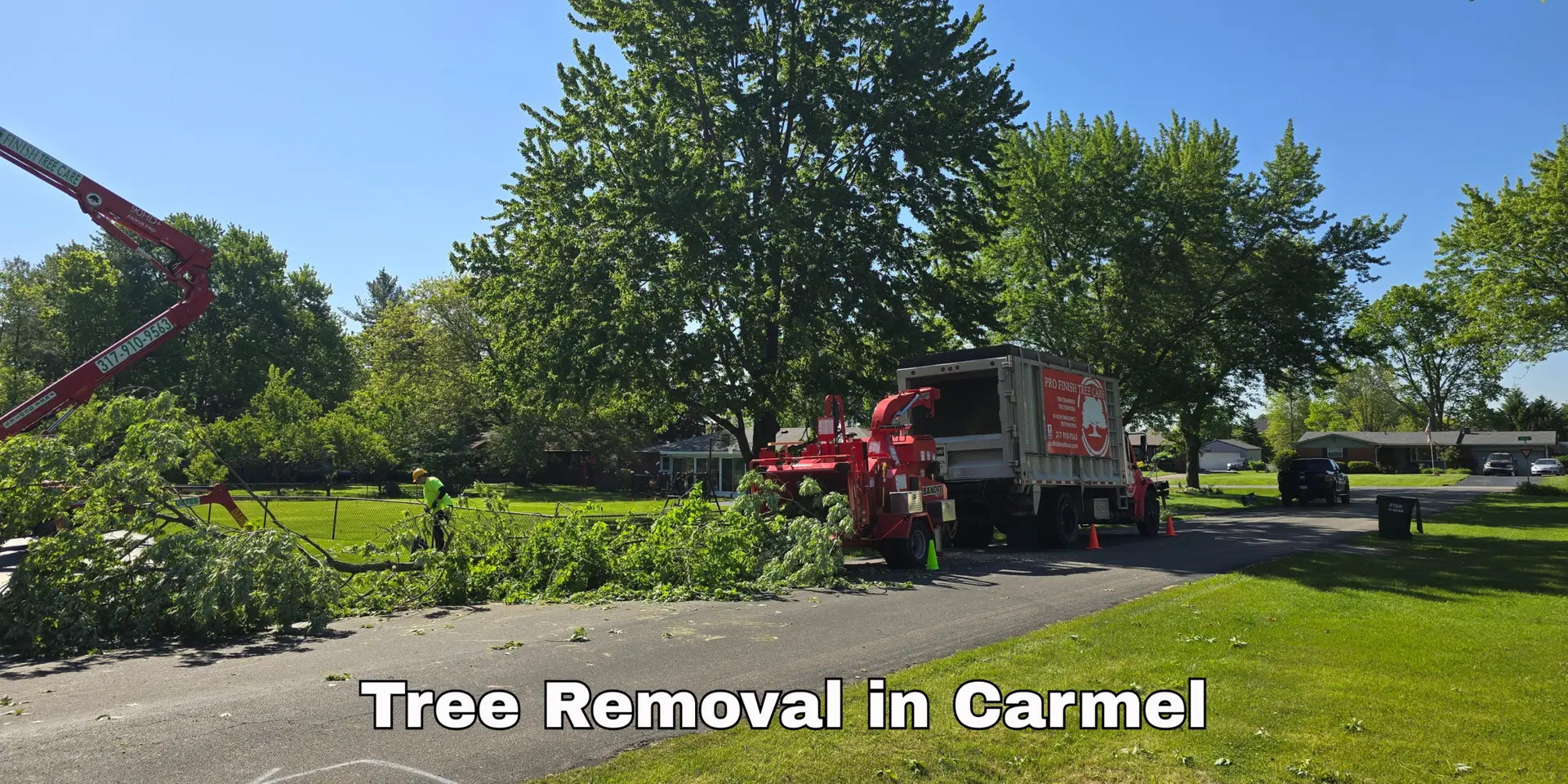 Tree Removal In Carmel