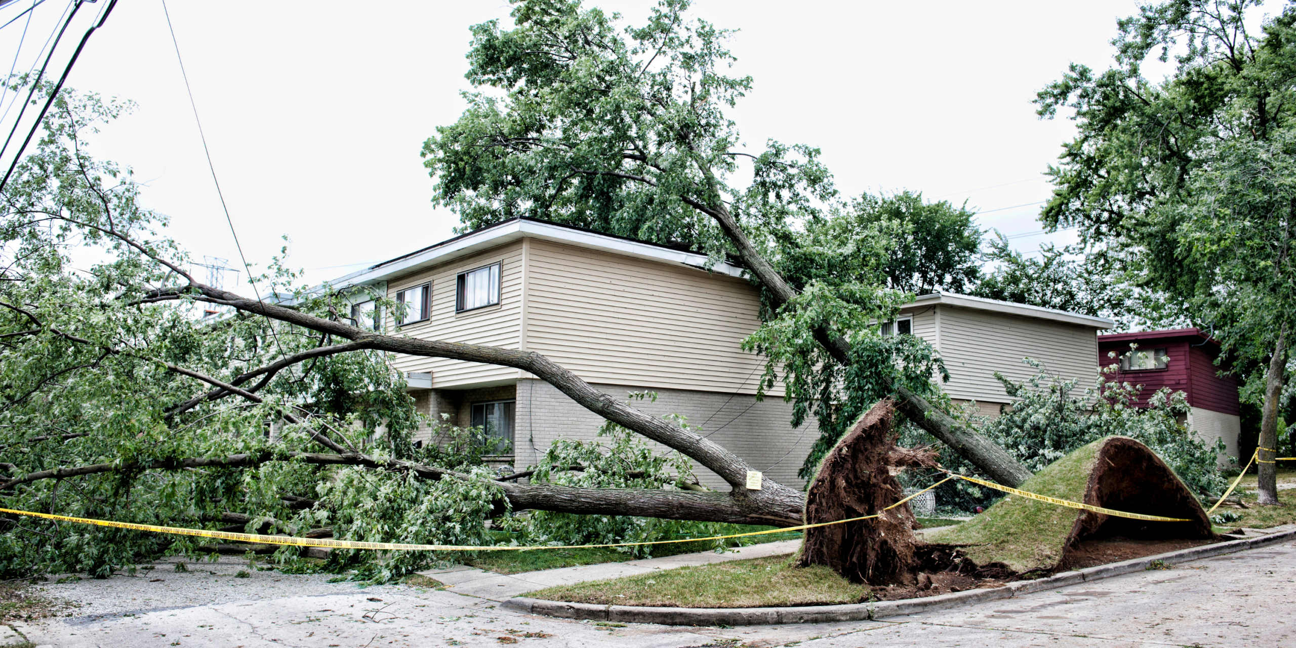 Storm Season Tree Care in Greenwood, Indiana: How to Protect Your Property Before the Next Big Storm