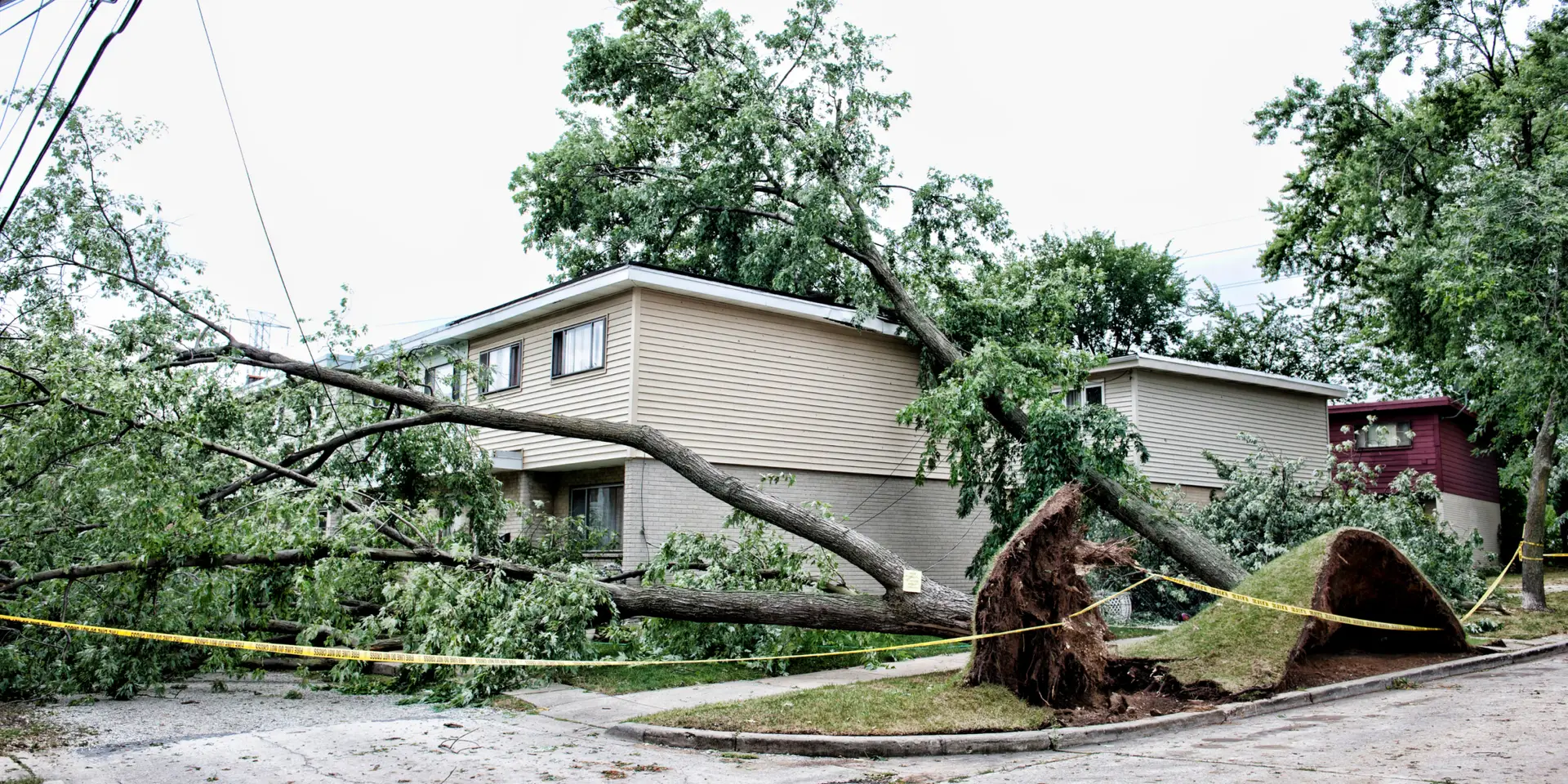 Storm Season Tree Care in Greenwood, Indiana: How to Protect Your Property Before the Next Big Storm