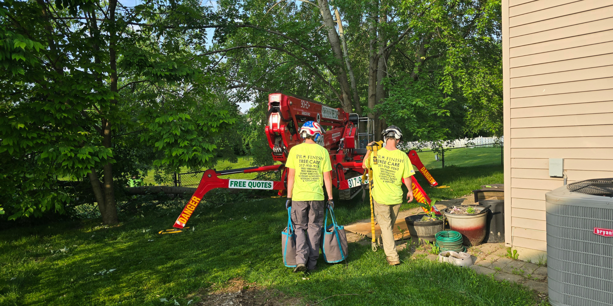 Tree Removal services