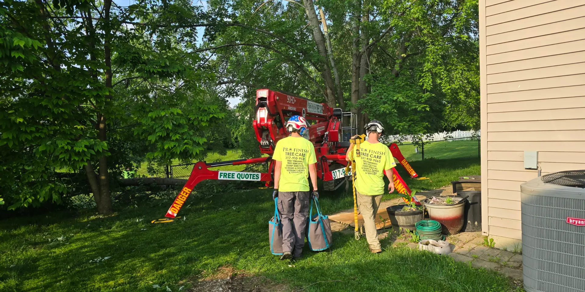 Tree Removal services