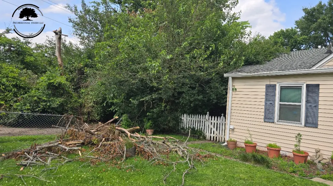 Best Storm Damage Tree Clean up Company In Central Indiana Pro finish outdoor