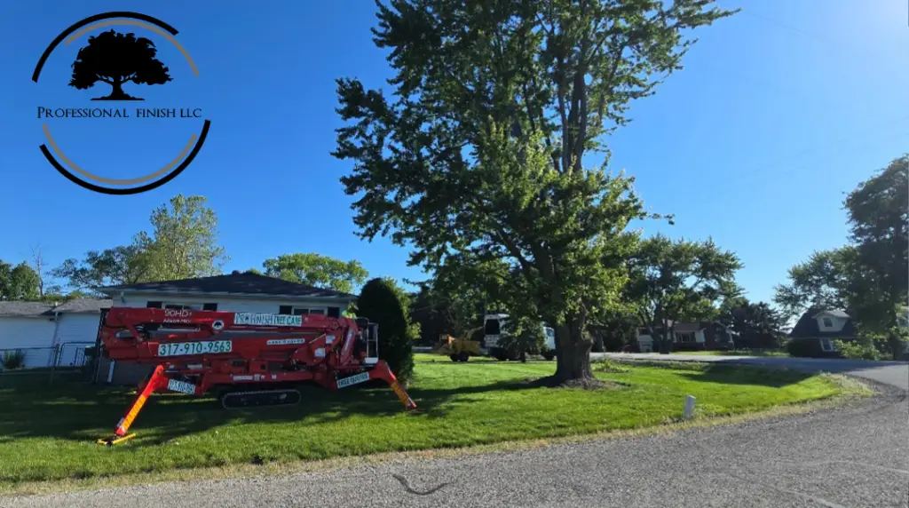Tree Removal? When is it a Good Time?