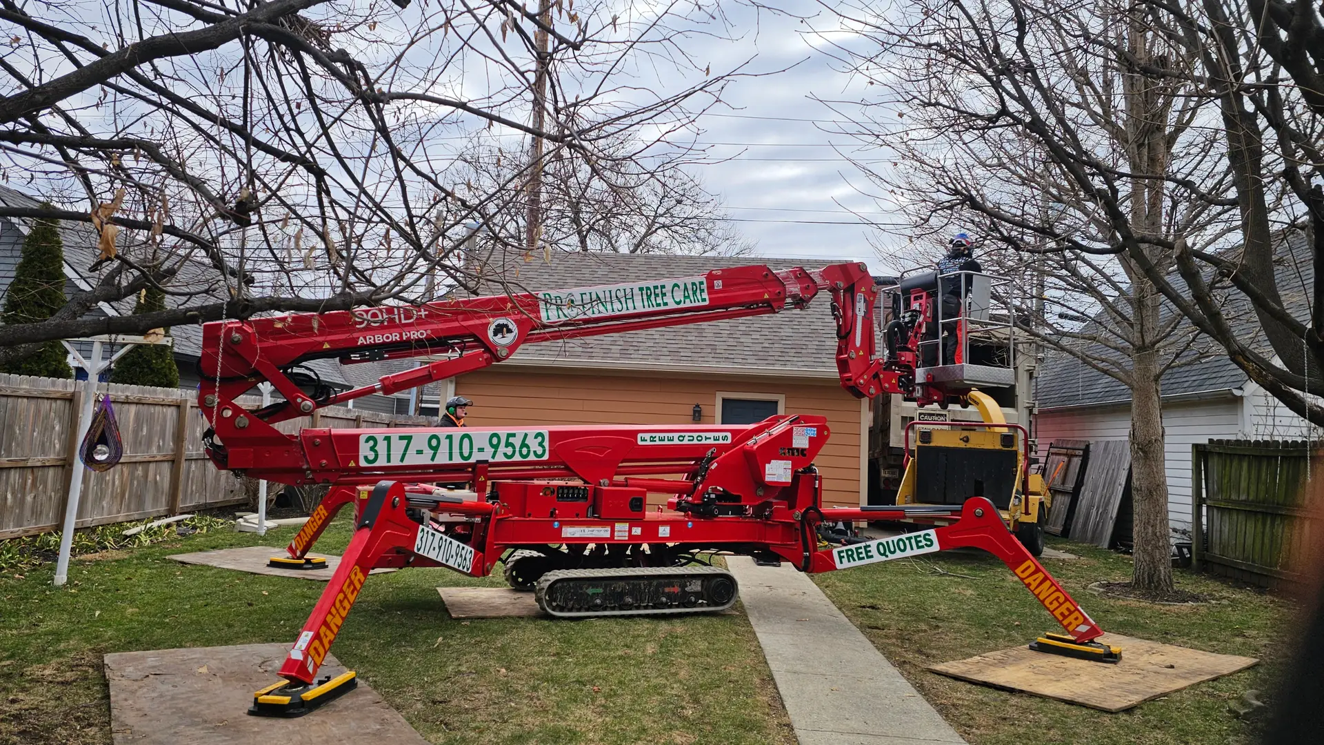 Tree Removal Services