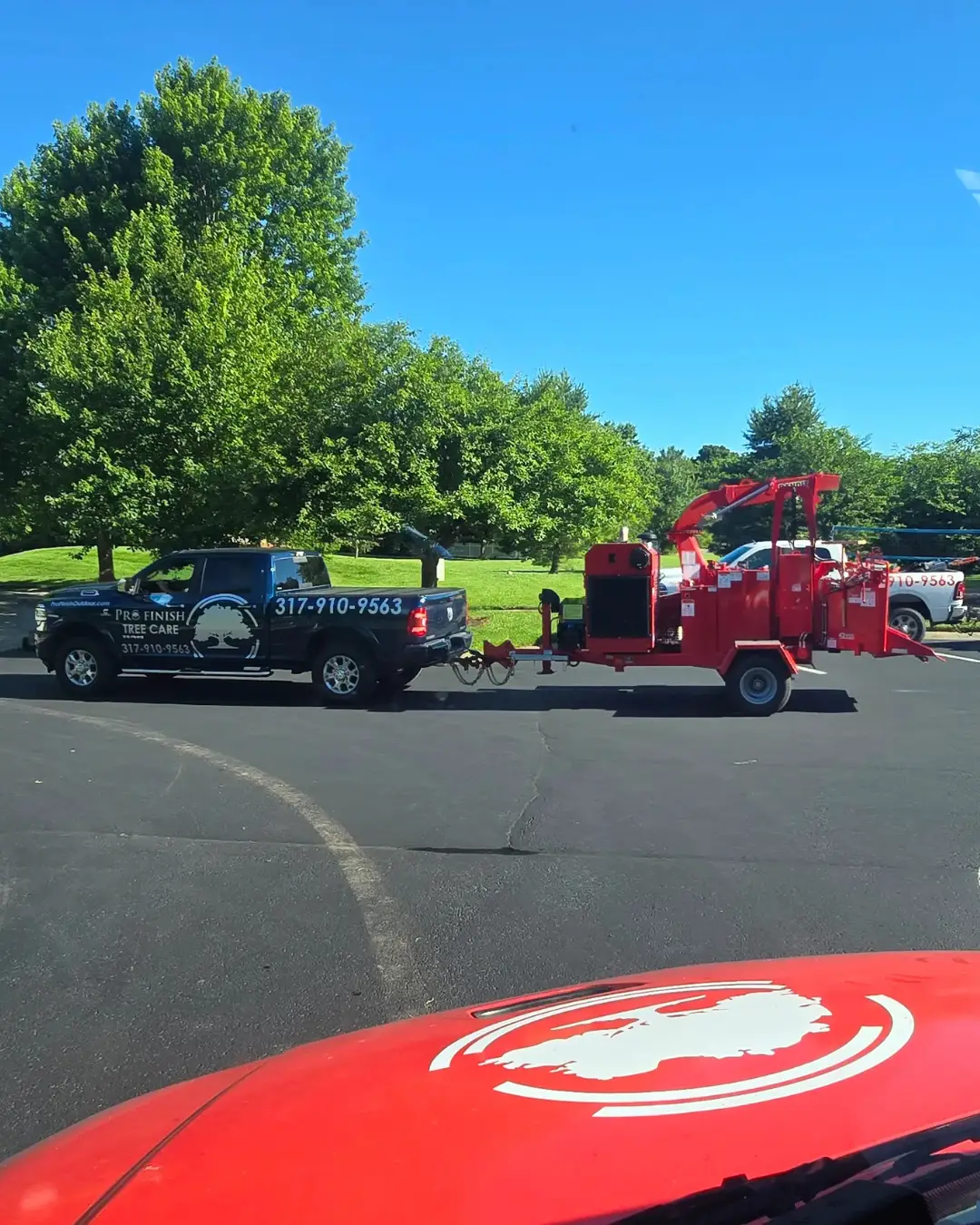 Tree damage cleanup in Indianapolis by Pro Finish Tree Care